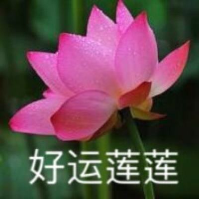 C视频丨成都:黄龙溪龙舟竞渡迎端午